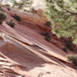 Meet your Posher, Annelle